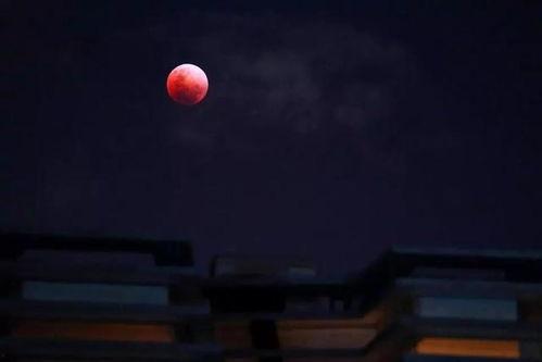 血色月亮在线观看56,惊悚悬疑,在线观看56集的惊心动魄之旅 第2张 血色月亮在线观看56,惊悚悬疑,在线观看56集的惊心动魄之旅 第2张